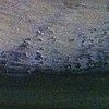 Landscape Series 4