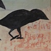 We Love Piping Plovers