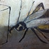 Cricket with Flower Pot