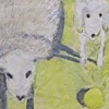Sheep with Harpo and Yellow Ball