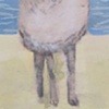 Sheep On the Beach