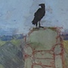 Green Chair with Crow