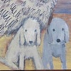 Sheep with Harpo & Maude