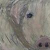 Big Pig