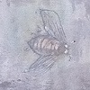 Harbor with Bees