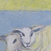 Pair of Sheep