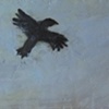 Three Pigs and Two Crows