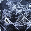 Untitled yatagarasu monotype