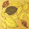 Autumn study