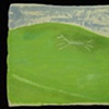 Chalk Horse in wax