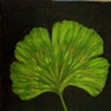 Green Ginkgo Leaf