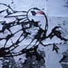 Untitled yatagarasu monotype