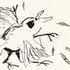 Fledgling