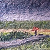 Japanese Landscape Painting