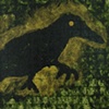 gold crow