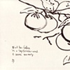 Haiga - persimmons in ink
