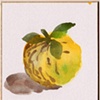 Yuzu