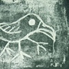 white bird