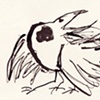 big eye