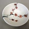 Almond Tree Flowers