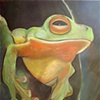 frog