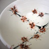 Almond Tree Flowers- Detail