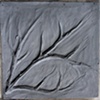 Creating the Magnolia