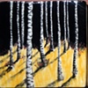 Birch Trees at Night