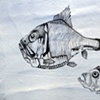 Crazy Fish