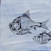 Crazy Fish