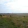 Video: Field