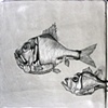 Crazy Fish (Before firing)