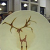 "Oh Deer"
