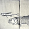 Crazy Fish (detail) unfired