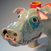 "Buda Boar"
