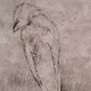 detail, Don't forget me