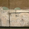 detail 2
Hoary Headed Camp 1: shelter