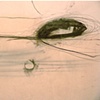 detail, Loop through