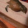 detail, Don't forget me