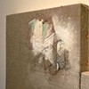 2011 Hoary Headed Series:  Paintings on linen, stretched on panel 