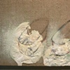 detail
Hoary Headed Camp 2: restoration