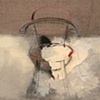 detail:  Chair Relations II