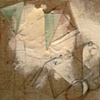 detail 4
Hoary Headed Neighborhood 1