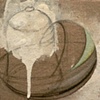 detail 2
Hoary Headed Boat