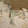detail
Hoary Headed Camp 3: vision