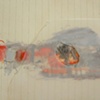 detail 
Bivouac Series: #5
