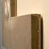 detail 2
Hoary Headed Neighborhood 1