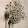 detail, Taped II