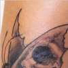 skull,butterfly