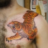killer tiger